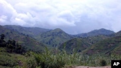 The fertile lands of Masisi in Eastern Congo contain important deposit of coltan, a metal which is needed for computer and mobile phone internal processors and which is subsequently booming on world market. One rebel group who controlled the resource-rich mountains said coltan made them 1 million dollars a month. (AP Photo/Arnaud Zajtman)