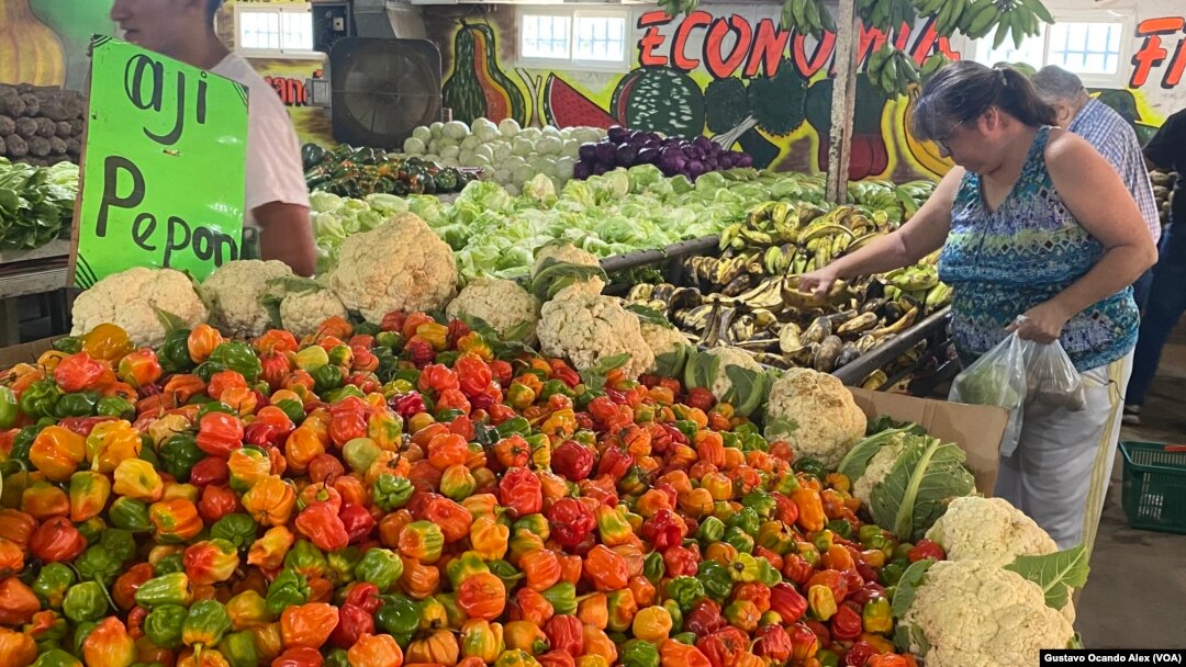 Una cliente escoge sus productos en un mercado de verduras y frutas en Maracaibo, Venezuela, en julio de 2023. La inflación de alimentos y otros bienes y productos en el país suramericano fue de 182,9% entre enero y noviembre de este año.