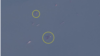 북한 서해 석도 인근 해상에서 선박 간 환적 정황(원 안)이 포착됐다. 사진=Planet Labs