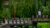Study: Living Near Green Space Makes You 2.5 Years Younger