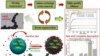 북한 국적자 박명남이 참여한 논문에 실린 그래픽. 사이언스 다이렉트' 홈페이지 (sciencedirect.com) 화면 캡처