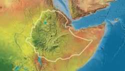 አማራ ክልል ዳውንት ወረዳ በደረሰ የመኪና አደጋ 25 ሰዎች ሞቱ