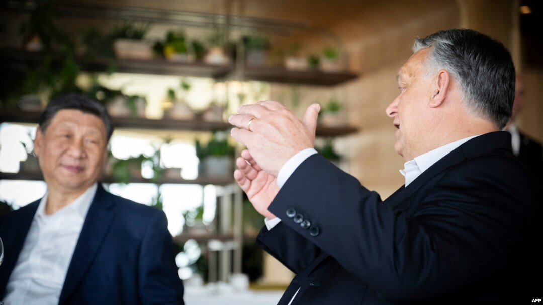 Chinese President Xi Jinping and Hungarian Prime Minister Viktor Orban converse in a restaurant in Budapest, Hungary, May 10, 2024. Xi vowed to deepen already flourishing economic ties with Hungary during his visit. (Hungarian Prime Minister's Office)