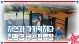 [아메리칸 테일] 자연과 가까워지다 친환경 버스정류장