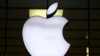 Apple pulls WhatsApp and Threads from App Store on Beijing's orders 