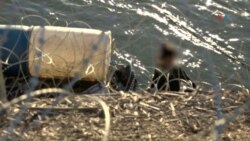 Tras las huellas del coyote | Nadie toca el río sin pagar