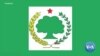 እስር ላይ የሚገኙ የኦነግ አመራር አባላት የት እንዳሉ እንደማያውቁ ጠበቃቸው ተናገሩ