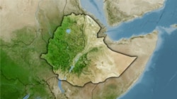 በአርሲ ተፈፀመ በተባለ ጥቃት ዘጠኝ ሰዎች መገደላቸውን የተጎጂ ቤተሰቦች ተናገሩ