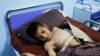 FILE - A 12-year-old injured during a recent earthquake receives treatment at a hospital in Herat, Afghanistan, on Oct. 11, 2023. The World Health Organization said on Oct. 20 that the survivors of the series of quakes desperately need essential health services.