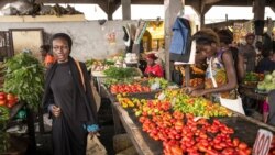 Brazzaville exonère de taxes des produits de base; Bissau veut développer son secteur de l’énergie