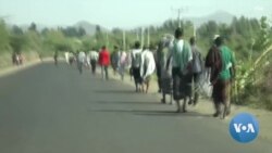 የጦርነቱ ስድስተኛ ቀን ወሬ