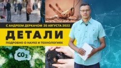 Саранча как оружие борьбы с раком и «третий глаз» у собак | «Детали» 