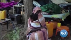 የሰላም ወሬና የመንግሥትና የህወሓት ምልልስ