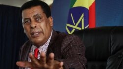 አምባሳደር ዲና ሙፍቲ