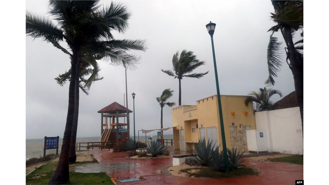 Las palmeras se mueven con el viento antes de que el huracán Agatha toque tierra en Huatulco, estado de Oaxaca, México, el 30 de mayo de 2022.
