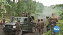 በኮንጎ ጥቃት የሟቾች ቁጥር 270 ደረሰ 