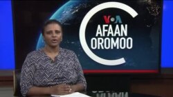 Tamsaasa Guyaadhaa Guyyaa