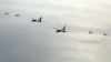 1일 한국 서해 상공에서 실시된 2023년 첫 미한 연합공중훈련에 미군 B-1B 전략폭격기(가운데)와 F-22 전투기(오른쪽), 한국군 F-35(왼쪽) 전투기가 동원됐다.