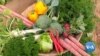 Exotic Vegetables Bloom in India's Desert State of Rajasthan 