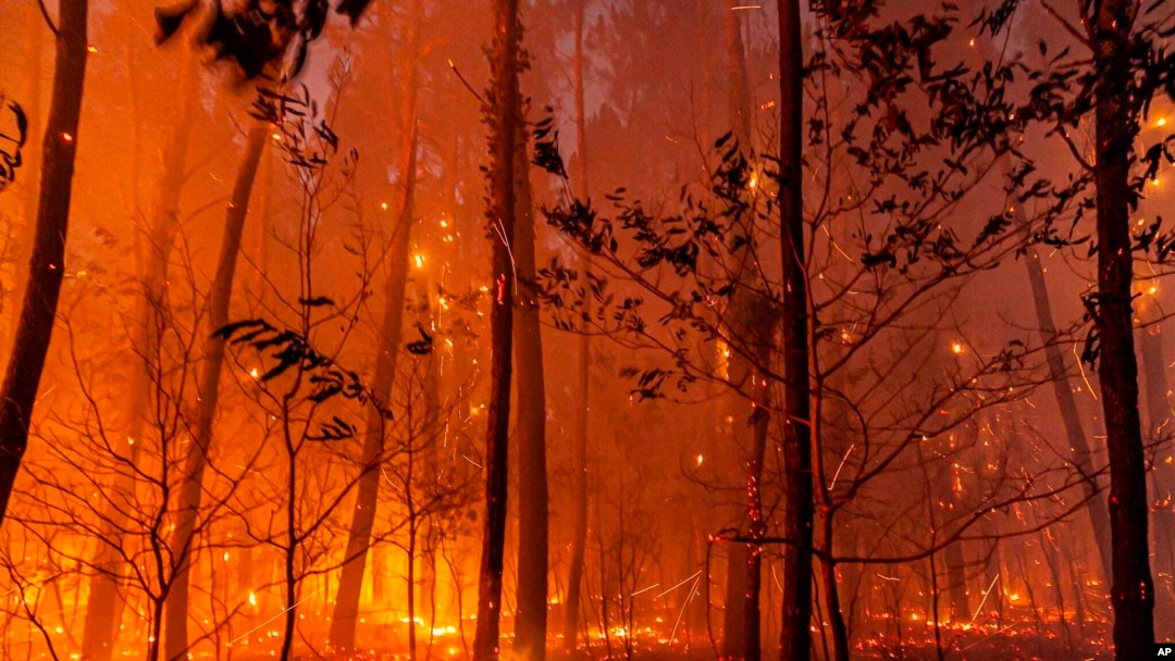 Esta foto proporcionada por el cuerpo de bomberos de la región de Gironda (SDIS 33) muestra un incendio forestal cerca de Landiras, suroeste de Francia, el domingo 17 de julio de 2022.
