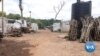 Nigeria Fights Cholera Outbreak; Death Toll Nears 1,800