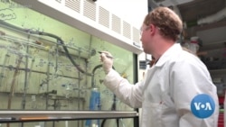 Harmful Bacteria's Worst Nightmare May Be a Microscopic Drill
