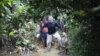 British Journalist, Brazilian Expert Missing in Amazon 