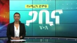 ጋቢና ቪኦኤ