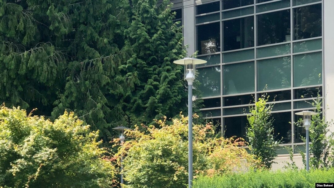 Microsoft's corporate headquarters in Redmond, Washington. (Photo: Diaa Bekheet)