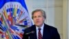 Activista reprocha a Almagro en la OEA por denuncias contra Venezuela