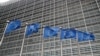 EU “20주년 맞은 유엔 북한인권결의안, 북한에 인권증진 의무 상기”