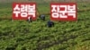 북한 황해북도 사리원 미곡협동농장 관계자들이 작업에 몰두하고 있다. (자료사진)