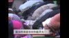 南加州清真寺对外开放 消除外界对穆斯林恐惧感