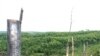 Indonesia Battles Fires Causing Haze in Southeast Asia
