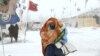 A camper braces against high winds and a blizzard while walking inside the Oceti Sakowin camp as "water protectors" continue to demonstrate against plans to pass the Dakota Access pipeline adjacent to the Standing Rock Sioux Reservation, near Cannon Ball,