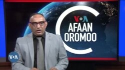 Tamsaasa Guyaadhaa Guyyaa