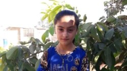 Zeyneb Îbrahîm