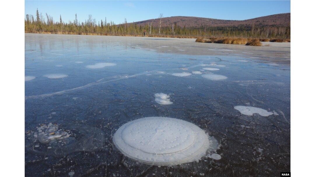 Methane bubbles up from the thawed permafrost at the bottom of the thermokarst lake through the ice at its surface. (Katey Walter Anthony/ University of Alaska Fairbanks)