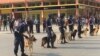 Polícia Nacional de Angola (Foto de Arquivo)
