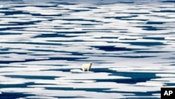 FILE - In this July 22, 2017, photo, a polar bear stands on the ice in the Franklin Strait in the Canadian Arctic Archipelago. 