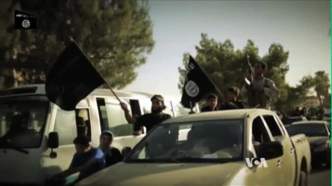 Lawmakers Urge Obama to Expand Military Action Against Islamic State