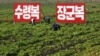 북한 황해북도 사리원의 협동농장.