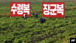 지난달 23일 북한 황해북도 사리원의 미곡 협동농장. (자료 사진)