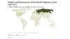 Global Migrant Stocks