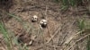 UN Sees a Path to Peace in Congo’s Kasai Region