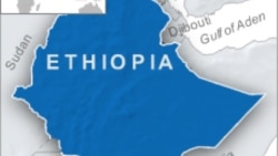 የኦነግ አመራሮች በመግለጫ ዙሪያ እየተወዛገቡ ነው