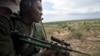 Savannah Elephants: A marksman in a helicopter searches the savannah for wild elephants during an elephant-collaring operation near Kajiado, in southern Kenya, Dec. 3, 2013. 