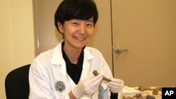 미 국방부 ‘전쟁포로.실종자 확인국(DPAA)’에서 6.25참전 미군 유해 감식을 전담하고 있는 제니 진 박사