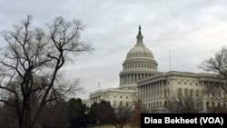 The U.S. Capitol Hill building in Washington, DC.(Photo: Diaa Bekheet)