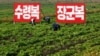 북한 황해북도 사리원 미곡협동농장 관계자들이 작업에 열중하고 있다. (자료사진)
